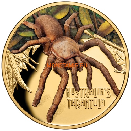  100  2020      (Niue 2020 $100 Tarantula Deadly and Dangerous 1oz Gold Proof Coin).88 ()