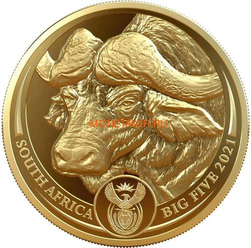  50  2021     (South Africa 50 Rand 2021 Buffalo Big Five 1oz Gold Coin)..92 ()