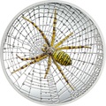   5  2016 -   (Cook Isl 5$ 2016 Magnificent Life Wasp Spider 1Oz 999 Silver)..My/60