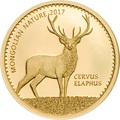  1000  2017  (Cervus Elaphus)   ..000231254038/60