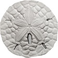  1  2017   (Sand Dollar)..000469054022/60