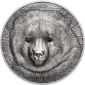  500  2019       (Mongolia 500T 2019 Mongolian Gobi Bear Wildlife Protection 1oz Silver Coin)..67